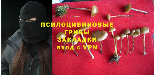 прущий лед Кукмор