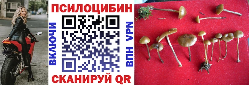 Купить где  Северск  Псилоцибиновые грибы MAGIC MUSHROOMS 
